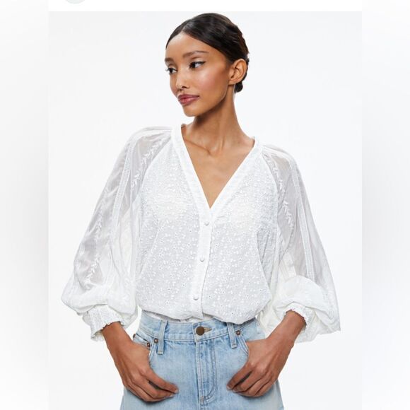 Alice + Olivia LANG EMBROIDERED BUTTON DOWN BLOUSE Embroidered Floral NWT XS - Picture 1 of 9